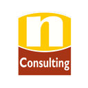 N’CONSULTING logo